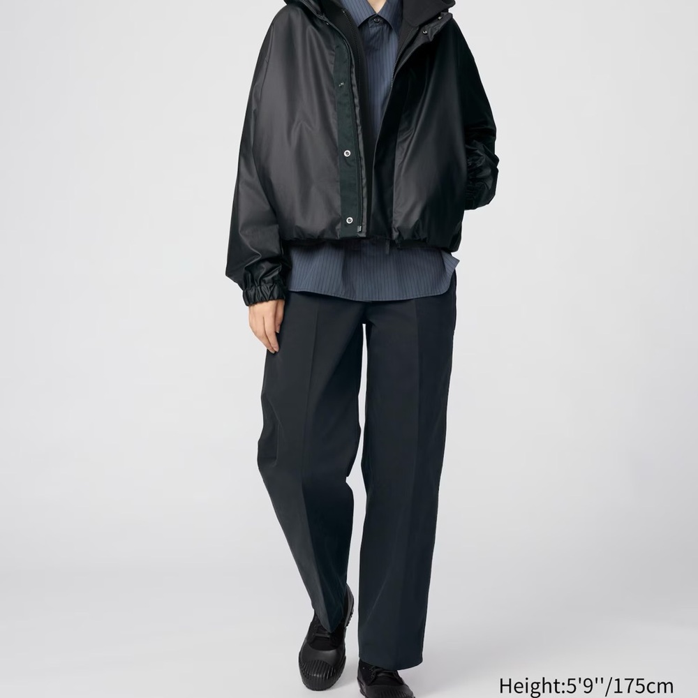 Uniqlo Cotton Chino Pants